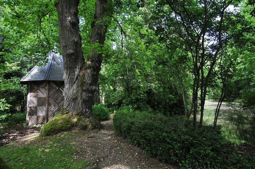 Bed and Breakfast La Demeure D'Aglae Villeneuve-sur-Allier Exterior foto