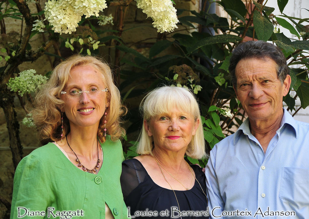 Bed and Breakfast La Demeure D'Aglae Villeneuve-sur-Allier Exterior foto